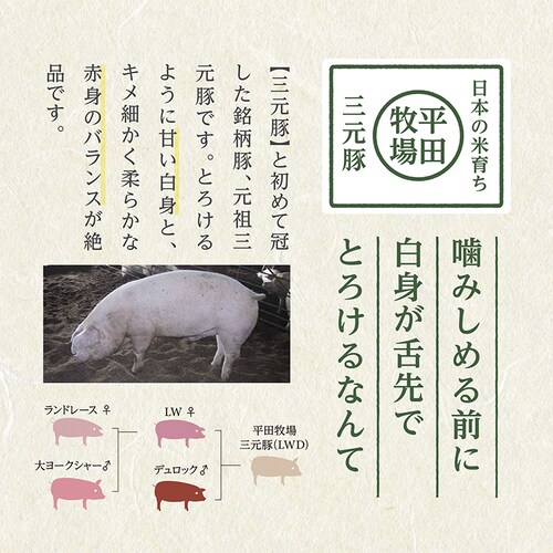 �y5��OFF�N�[�|���I�z�y���c�q��z���{�̕Ĉ炿�O���� �n���o�[�O&���[���X�e�[�L�M�t�g �e4�� ����2�ܓ� HSF19-8_5