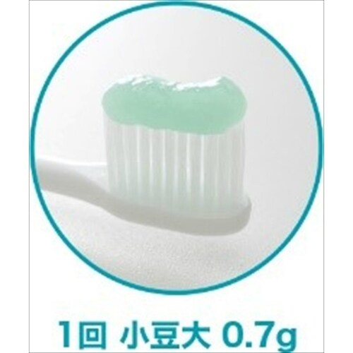 �y6�Z�b�g�z���N���b�V���d�w�@��p�@�n�~�K�L�W�F�� _2