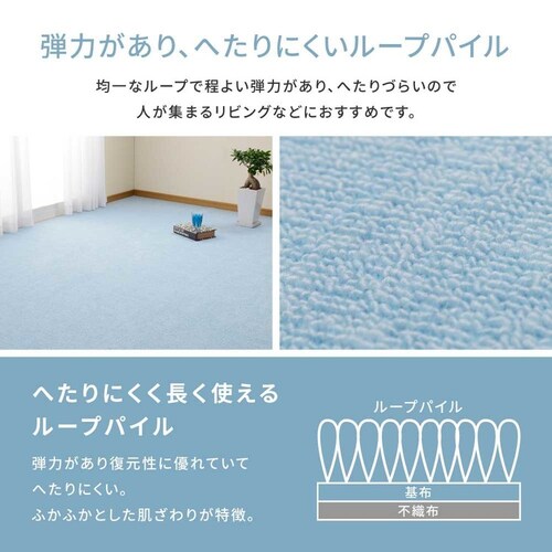 ���[�v�p�C���̕��D�J�[�y�b�g�@�~�[�e�@�]�ˊ�3�� 600016230 �u���[�y���Ԏw��s�z�y����s�z�y�����s�z�y�v���U�Z���N�g�z_6