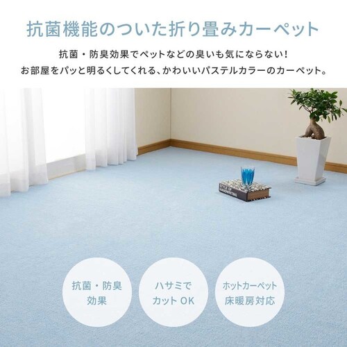 ���[�v�p�C���̕��D�J�[�y�b�g�@�~�[�e�@�]�ˊ�4.5�� 600016245 �u���[�y���Ԏw��s�z�y����s�z�y�����s�z�y�v���U�Z���N�g�z_4