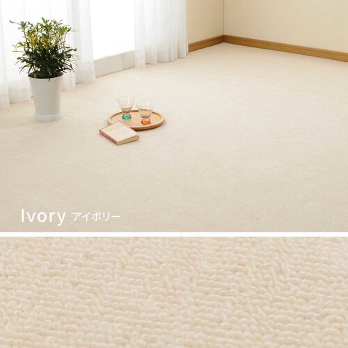 ���[�v�p�C���̕��D�J�[�y�b�g�@�~�[�e�@�]�ˊ�4.5�� 600016245 �u���[�y���Ԏw��s�z�y����s�z�y�����s�z�y�v���U�Z���N�g�z_11