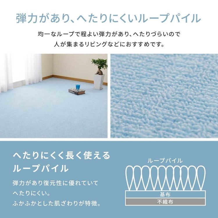 ループパイルの平織カーペット ミーテ 江戸間6畳 350123260 ブルー