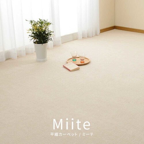 ���[�v�p�C���̕��D�J�[�y�b�g�@�~�[�e�@�]�ˊ�10�� 600016290 �u���[�y���Ԏw��s�z�y����s�z�y�����s�z�y�v���U�Z���N�g�z_2