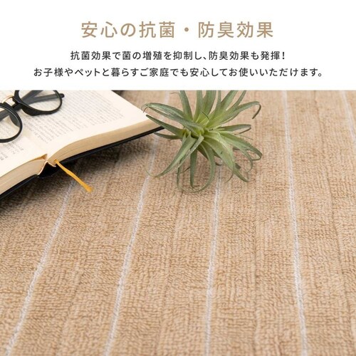 ���̐D�̕��D�J�[�y�b�g�@���e�I�@�]�ˊ�3�� 600021030 �x�[�W���y���Ԏw��s�z�y����s�z�y�����s�z�y�v���U�Z���N�g�z_6