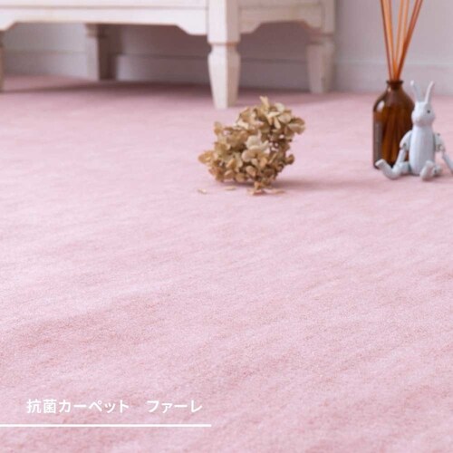 �p�X�e���J���[�̍R�ۃJ�[�y�b�g�@�t�@�[���@�]�ˊ� 10�� 600004790 ���[�Y�y���Ԏw��s�z�y����s�z�y�����s�z�y�v���U�Z���N�g�z_2