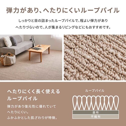 �y�b�g�ɂ₳�����R�ۃJ�[�y�b�g�@�X�e���@�]�ˊ�6�� 600094360 �O���[�y���Ԏw��s�z�y������s�z_7