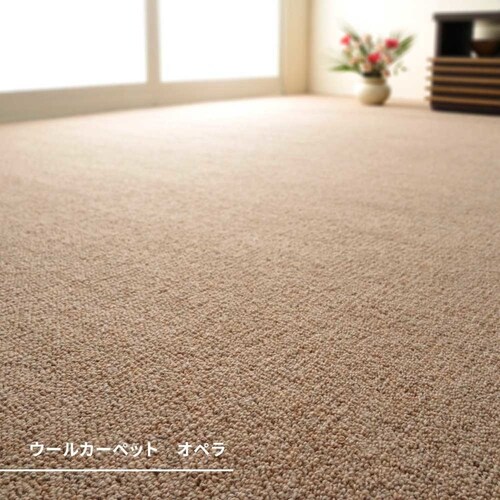 �V�R�E�[��100���̖h���J�[�y�b�g�J�[�y�b�g �I�y�� �]�ˊ� 6�� 600023560 �x�[�W���y���Ԏw��s�z�y����s�z�y�����s�z�y�v���U�Z���N�g�z_2