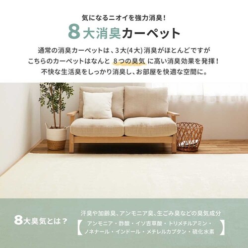 8����L�̍��@�\�J�[�y�b�g�@���N���A�@�]�ˊ�6�� 600094760 �x�[�W���y���Ԏw��s�z�y������s�z_8