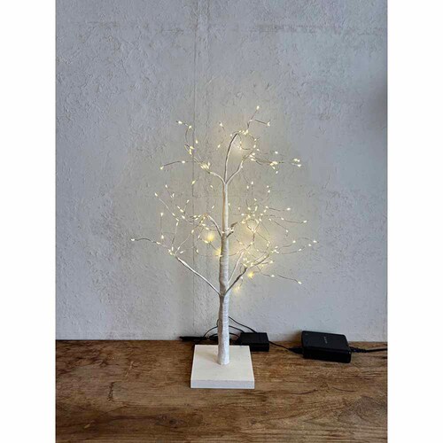 SOW �u�����`�c���[ �X�^�[�o�X�g 60cm BRXT2510 �y�v���U�Z���N�g�z_2