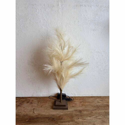 SOW �u�����`�c���[ �p���p�X 60cm BRXT2530 �y�v���U�Z���N�g�z_2