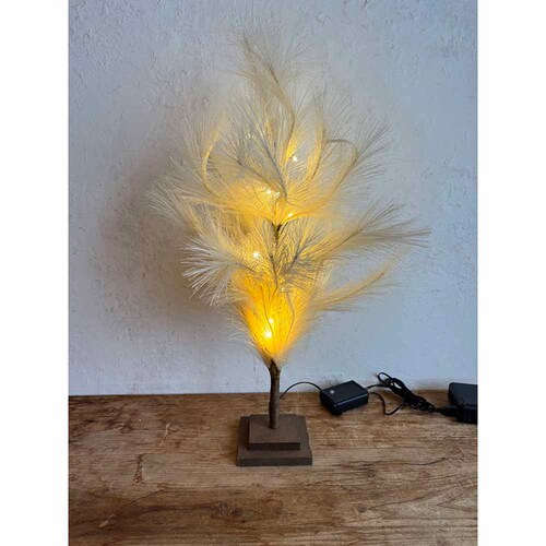 SOW �u�����`�c���[ �p���p�X 60cm BRXT2530 �y�v���U�Z���N�g�z_3