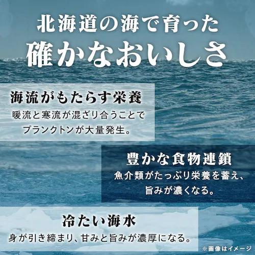 ��������ԃZ�b�g_5