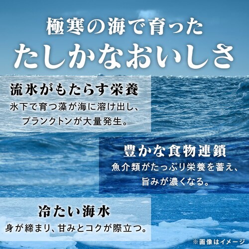 �Â��ѥ�ق��ăZ�b�g_6