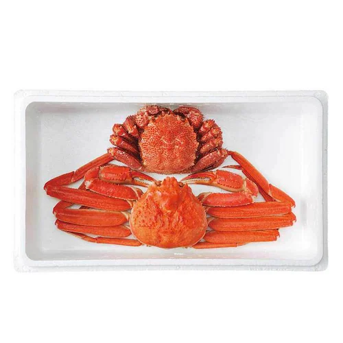 ���킢���Ɏp��т��ɃZ�b�g_2