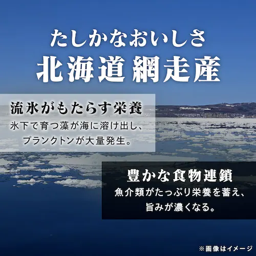 ��������ݖ��� 300g_4