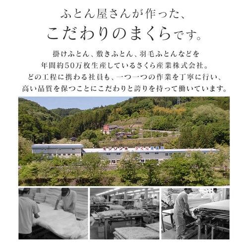 ������Y�� �z�c����������� �z���C�g SOFT�^�C�v�y�v���U�Z���N�g�z_2