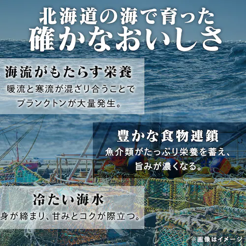 北海道産 かに甲羅盛 4個セット おおずわいがに_7