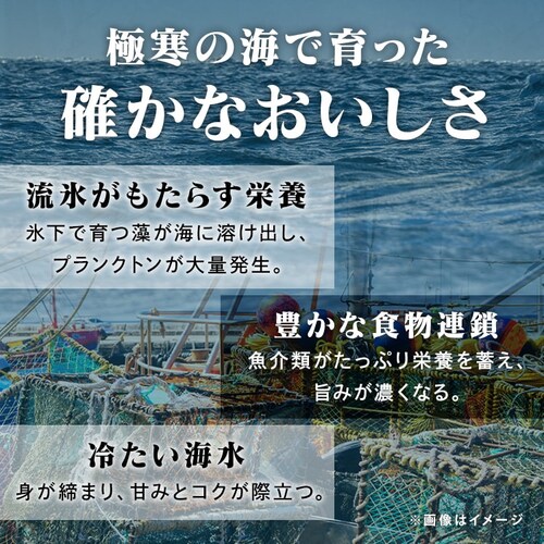 �k�C���Y �{�C���������킢���Ɏp 1kg (2�`3��)_4