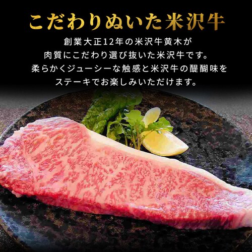 �y�đ򋍉��؁z�đ� �T�[���C���X�e�[�L�p YSS115 _2