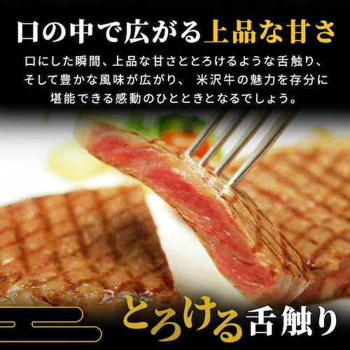 �y�đ򋍉��؁z�đ� �T�[���C���X�e�[�L�p YSS115 _3