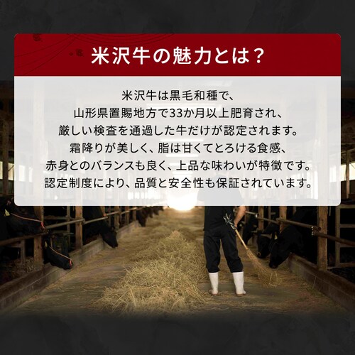 �y�đ򋍉��؁z�đ� �X�e�[�L��ē����� SYG40J _6