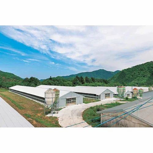 �y�H��q���z �H��q���̂��܂��Ƌ������g�����܂��߂ȃJ�X�e�� 8�� ABC-01A_5