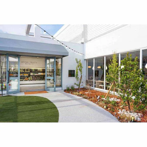 �y�z�V�t���[�c�z �ґ�t���[�c�̃^���g HF-ZFT_3