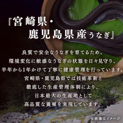 【鰻楽】【お届けは7/20(月)〜7/24(金)】九州産うなぎ蒲焼 2尾セット aQMN2/280【代引き不可】_7