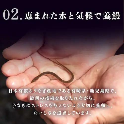【鰻楽】【お届けは7/20(月)〜7/24(金)】九州産うなぎ蒲焼 2尾セット aQMN2/280【代引き不可】_12