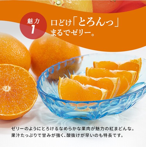 ���Q���Y �g�܂ǂ�� BENI-F0_4