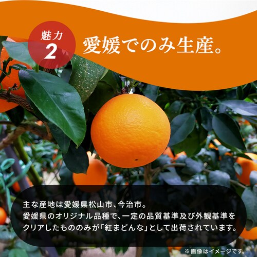 ���Q���Y �g�܂ǂ�� BENI-F0_5