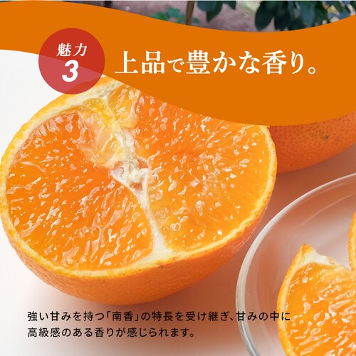 ���Q���Y �g�܂ǂ�� BENI-F0_6