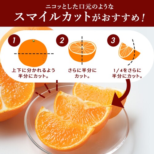 ���Q���Y �g�܂ǂ�� BENI-F0_8