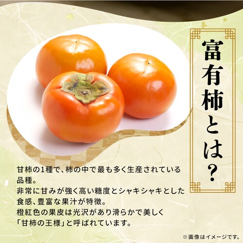 �Ђ炽�̕x�L�` 12�� (�) FYK-C6S�y������s�z_2