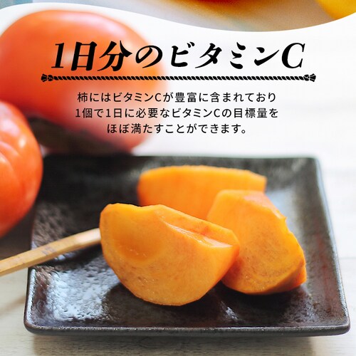 �Ђ炽�̕x�L�` 12�� (�) FYK-C6S�y������s�z_5