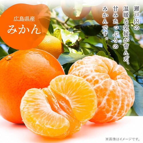 旬のフルーツギフト AD-SFT50【代引き不可】_5