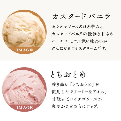 �y�����D���z ����v���~�A���A�C�X10�� PGS-036N_3