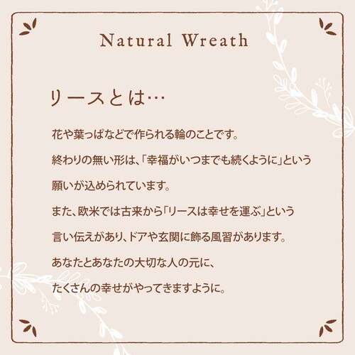 �P�[�E�C�[�E�A�C �N���X�}�X�i�`���������[�XL CM1604-A �S�[�W���X�A�b�v���y�v���U�Z���N�g�z_8