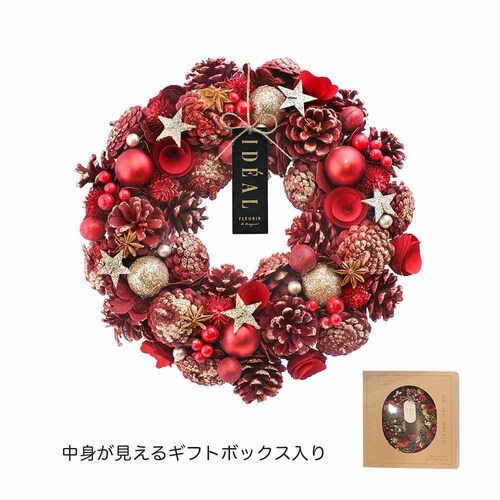 �P�[�E�C�[�E�A�C �N���X�}�X�i�`���������[�XL CM1604-A �S�[�W���X�A�b�v���y�v���U�Z���N�g�z_11