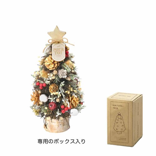 �P�[�E�C�[�E�A�C �N���X�}�X�i�`�������c���[�I�u�W�F�@M CM1719-B �y�[���i�`�������y�v���U�Z���N�g�z_2