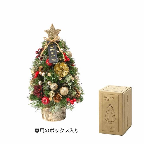 �P�[�E�C�[�E�A�C �N���X�}�X�i�`�������c���[�I�u�W�F�@M CM1719-B �y�[���i�`�������y�v���U�Z���N�g�z_3