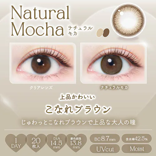 アイセイ Ever Color 1day Natural(エバーカラーワンデーナチュラル) ec1d-n-sbr-000 シャンパンブラウン ±0.00【前払い不可】【代引き不可】【同梱不可】_23