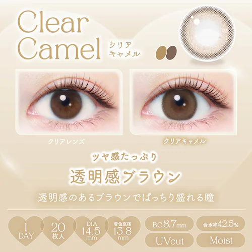 アイセイ Ever Color 1day Natural(エバーカラーワンデーナチュラル) ec1d-n-sbr-000 シャンパンブラウン ±0.00【前払い不可】【代引き不可】【同梱不可】_25