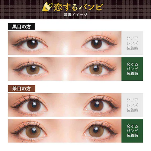 Wscale Flurry by colors(フルーリー バイ カラーズ) flry-mdbr-000 モカダークブラウン(うるうるチワワ) ±0.00【代引不可】【同梱不可】【プラザセレクト】_15