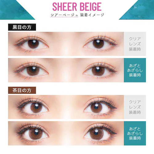 Wscale Flurry by colors(フルーリー バイ カラーズ) flry-mdbr-000 モカダークブラウン(うるうるチワワ) ±0.00【代引不可】【同梱不可】【プラザセレクト】_21