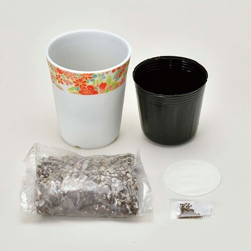 �a�S�� GD-104902 �Ƃ����炵_6