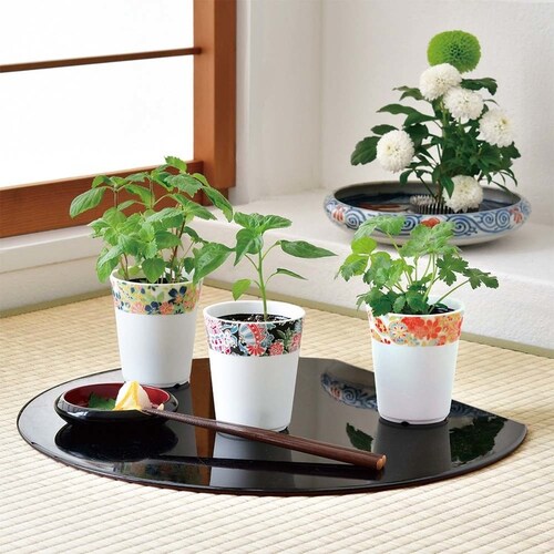 �y3��Z�b�g�z�a�S�� _2