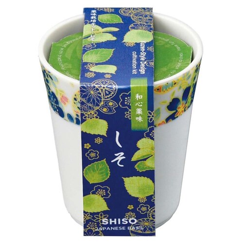 �y3��Z�b�g�z�a�S�� _3