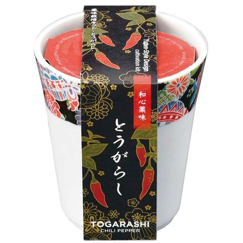 �y3��Z�b�g�z�a�S�� _5