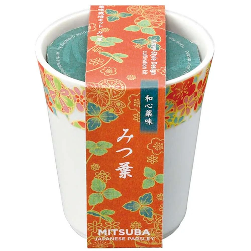 �y3��Z�b�g�z�a�S�� _7